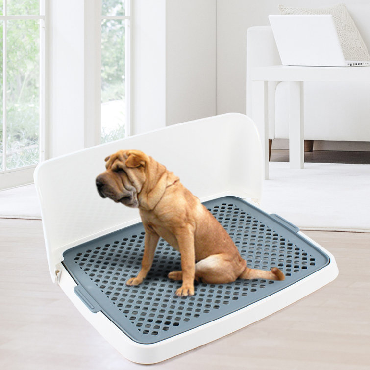 Tucker Murphy Pet™ Seviervillle Detachable Pet Dog Potty Pad Indoor